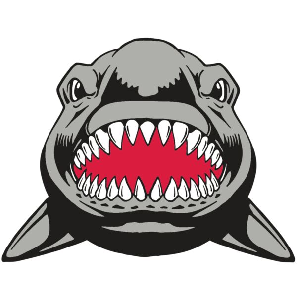 AR  SHARK 25 RC Thumbnail